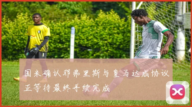 国米确认邓弗里斯与皇马达成协议正等待最终手续完成