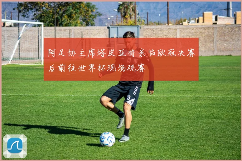 阿足协主席塔皮亚将亲临欧冠决赛后前往世界杯现场观赛