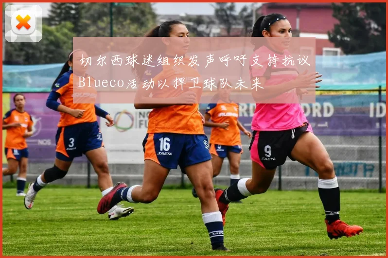 切尔西球迷组织发声呼吁支持抗议Blueco活动以捍卫球队未来