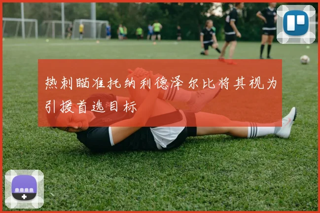 热刺瞄准托纳利德泽尔比将其视为引援首选目标